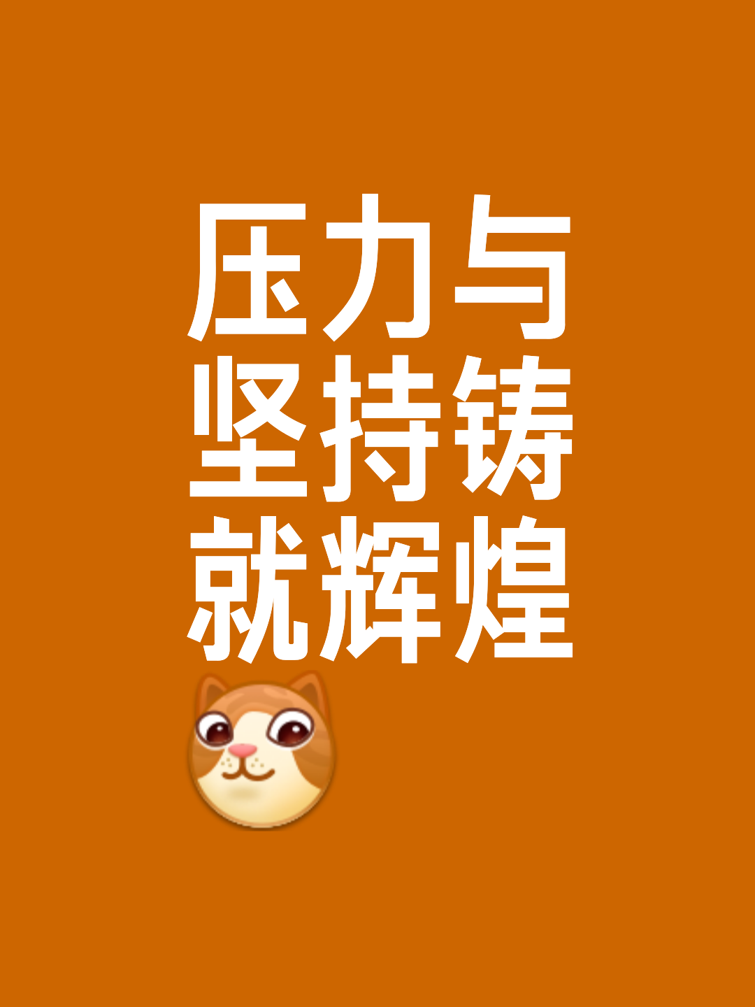 身经百战气贯长虹，坚持不懈不负重托的简单介绍