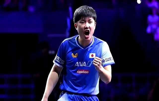 波兰队逆转瑞典队，张本智和高光表现的简单介绍